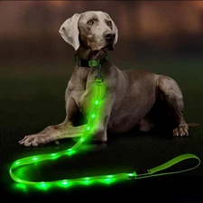 5 Ft Green LED Dog Leash Rechargeable Light Up Pet Leash for Night Walking
