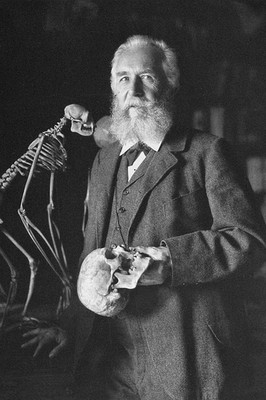 Ernst Haeckel, deutscher Biologe und Naturforscher Foto 