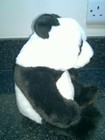 Bild 4 von 8