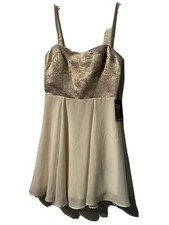 Express Sheer Dress Party Beige Silver Juniors Size 2