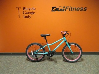 Guardian Ethos bike Size 20 in Wheel