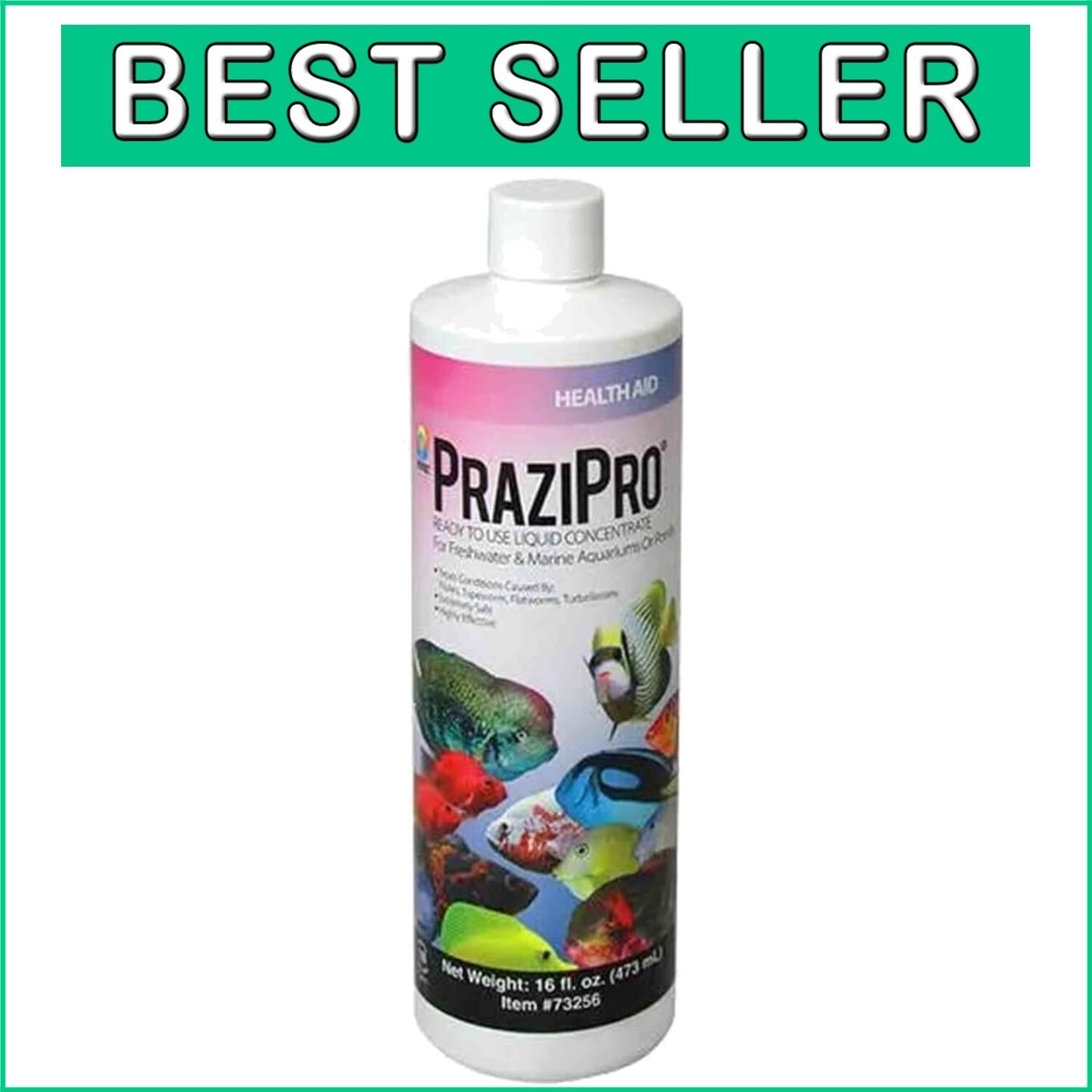 プラジプロ16オンス