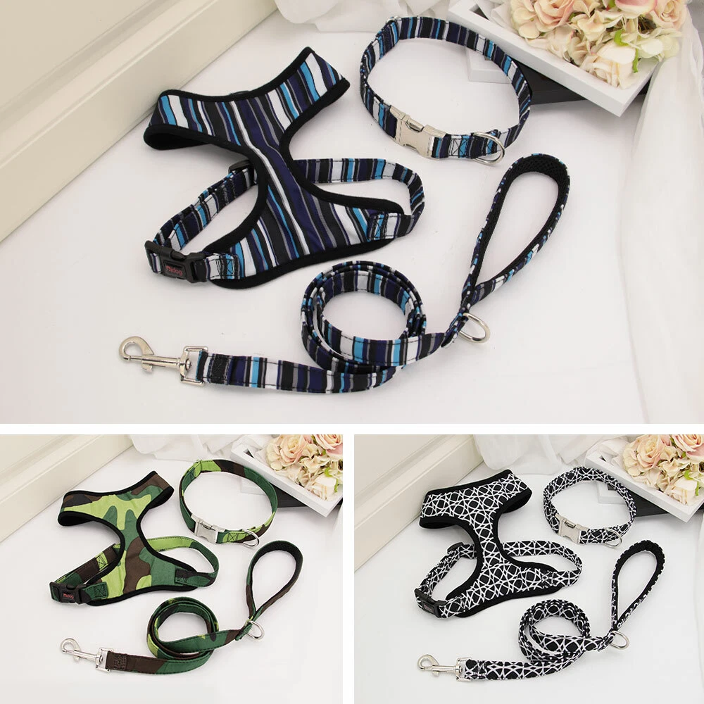 Dog Harness and Leash Set with Personalized Collar Custom Pet Name Soft Mesh XL
