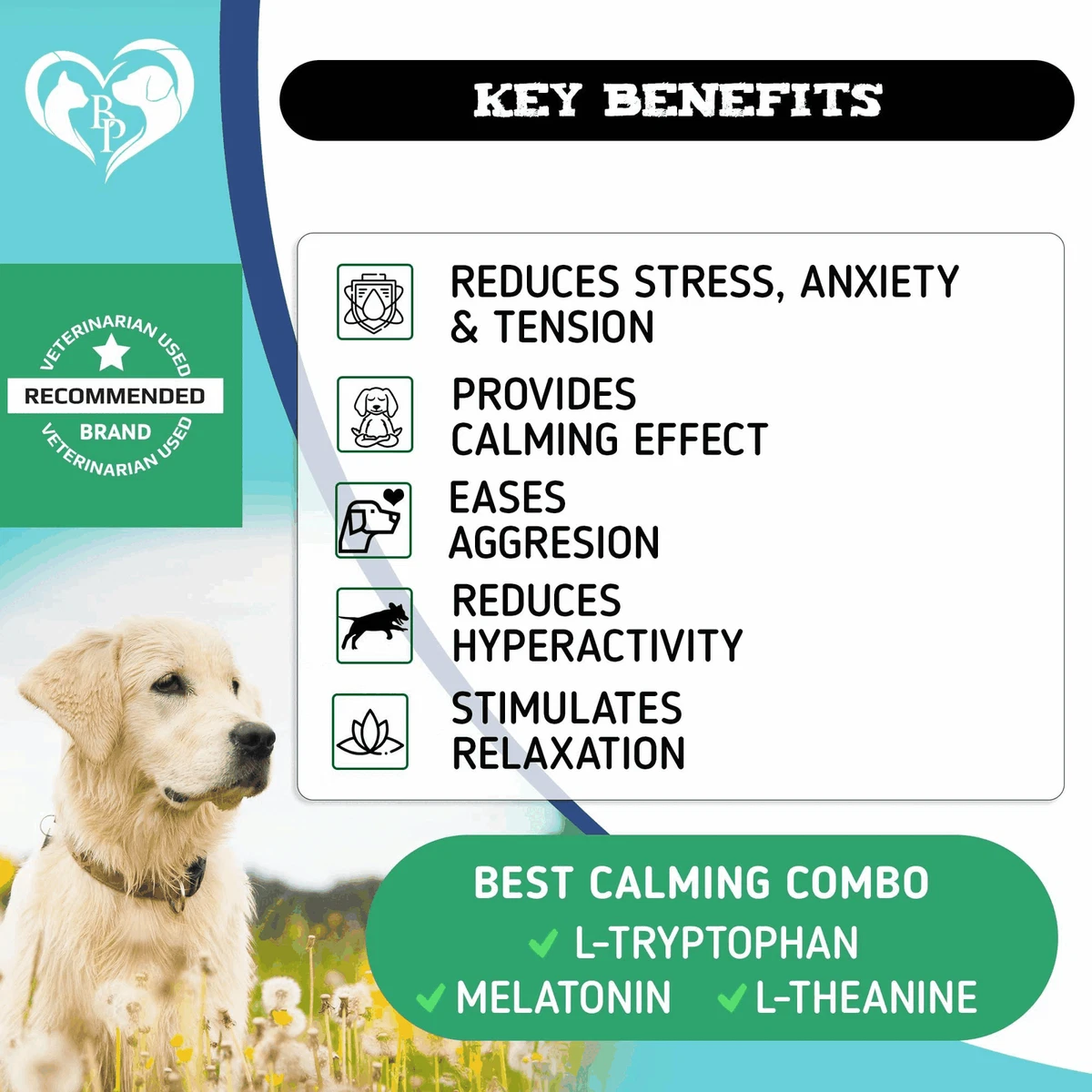 Best separation anxiety meds for cheap dogs