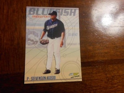 2004 BRIDGEPORT BLUEFISH Choice Minor League Single Cards YOU PICK OBO