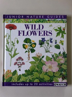 Junior Nature Guides: Wild Flowers von Pam Forey Hardcover 1993