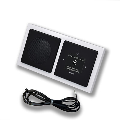 BUSCH JÄGER DAB+ Unterputz Bluetooth Radio Lautsprecher 8217U-101 Future S+W