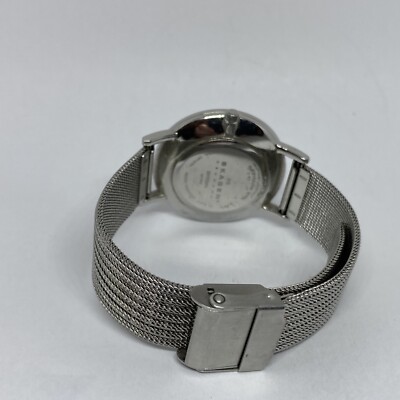 Skagen SKW2284 Women Silver Stainless Steel Analog Dial  display picture 2