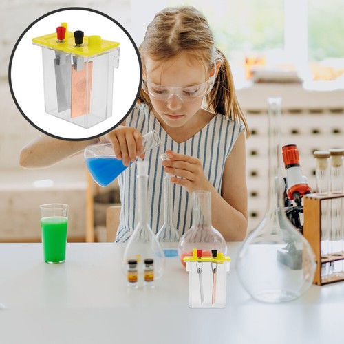 1 Set Fruit Battery Experiment Kit Physics Experiment Kit Science Experiment