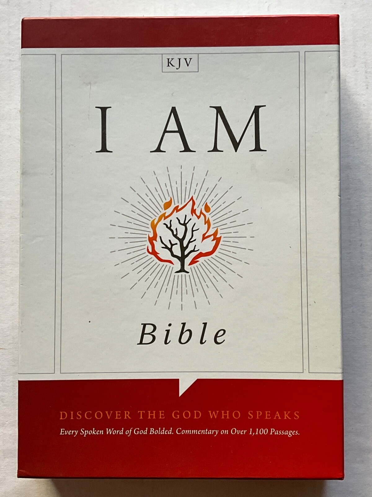 I Am Bible KJV Edited by Dr. Terry Kirby Holman Bible Publishers
