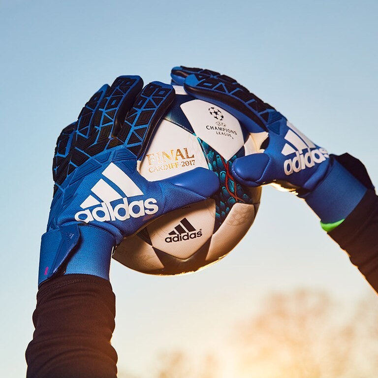 adidas ace transition pro goalkeeper gloves