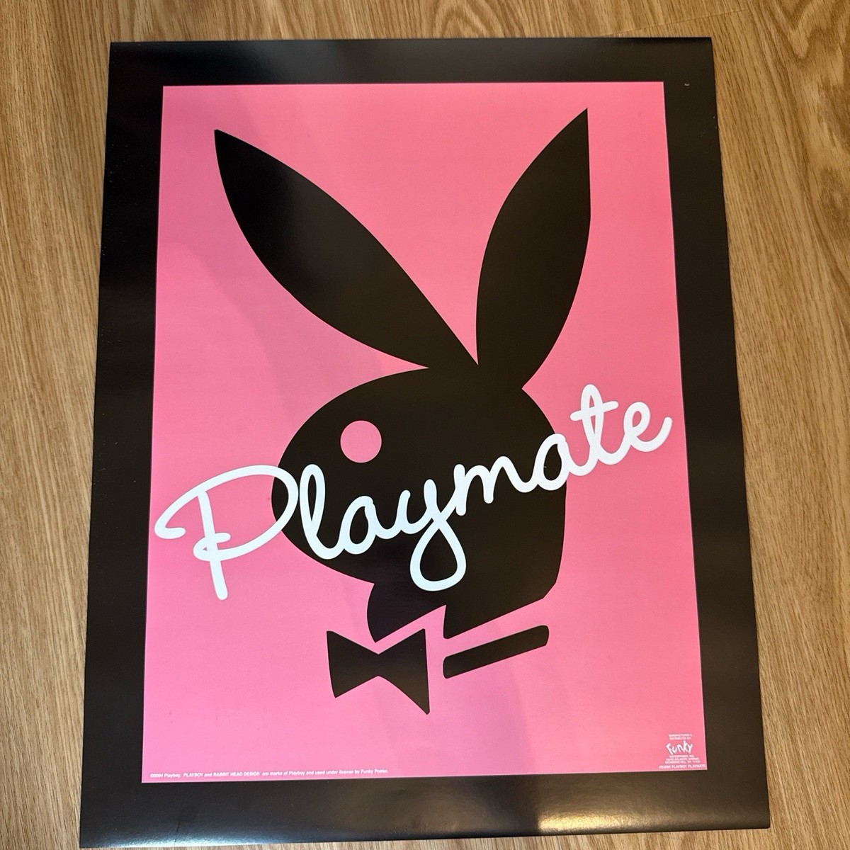 Vintage 2004 Playboy Playmate Bunny Poster Pink And Black | 16 x