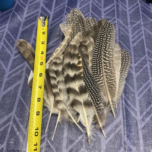 40PCS Natural Pheasant Feathers, Small To Large Size, Natural Pheasant Feathers - Picture 1 of 2
