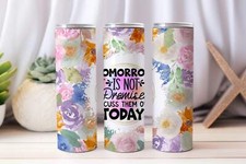 20 oz Graphic Tumbler- Sarcasm Funny 23