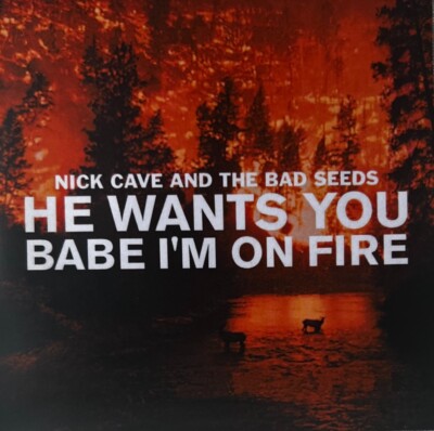 NICK CAVE AND THE BAD SEEDS - HE WANTS YOU BABE I'M ON FIRE - 4 TRACKS PROMO CD