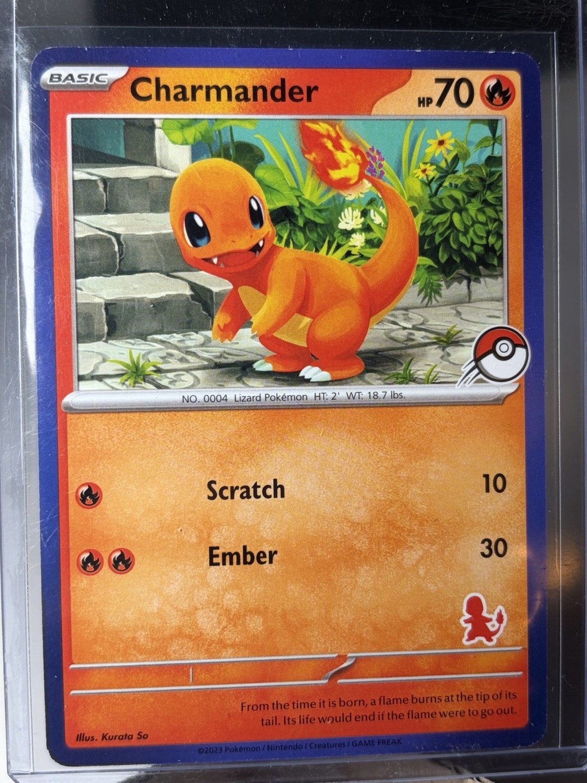 Charmander Pokemon My First Battle - Blue Boreder - LP