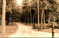 RPPC Entrance Driveway Fortune Lake Be-Wa-Bic Park Michigan MI Postcard