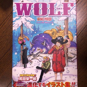 Used One Piece Color Walk 8 Wolf Eiichiro Oda Illustration Art Book Japanese Ebay