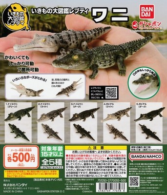 Crocodile : Encyclopedia of Living Things complete set 5 Capsule Toy NEW