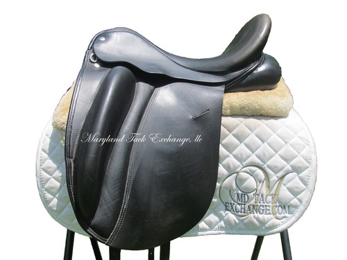 Steez CT SV TW 700XHL KTF Custom KAHEN | eBay