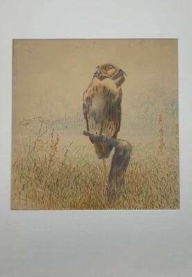 Jugendstil Zeichnung Eugen Osswald Tier Porträt Uhu auf einem Ast Wald Natur - Bild 1 von 4