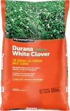 Pennington Durana White Clover