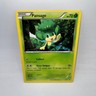 Pansage 2/39 Kalos Starter Set Pokemon Moderately Played