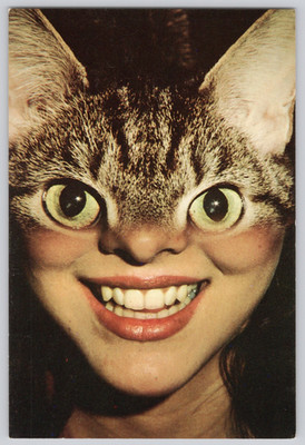 Postcard Catwoman Optical Illusion Cat Human Face American Cat Card