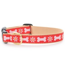 Up Country Dog Collar, Bones In Bloom, Adjustable, Made In USA, XS S M L XL XXL