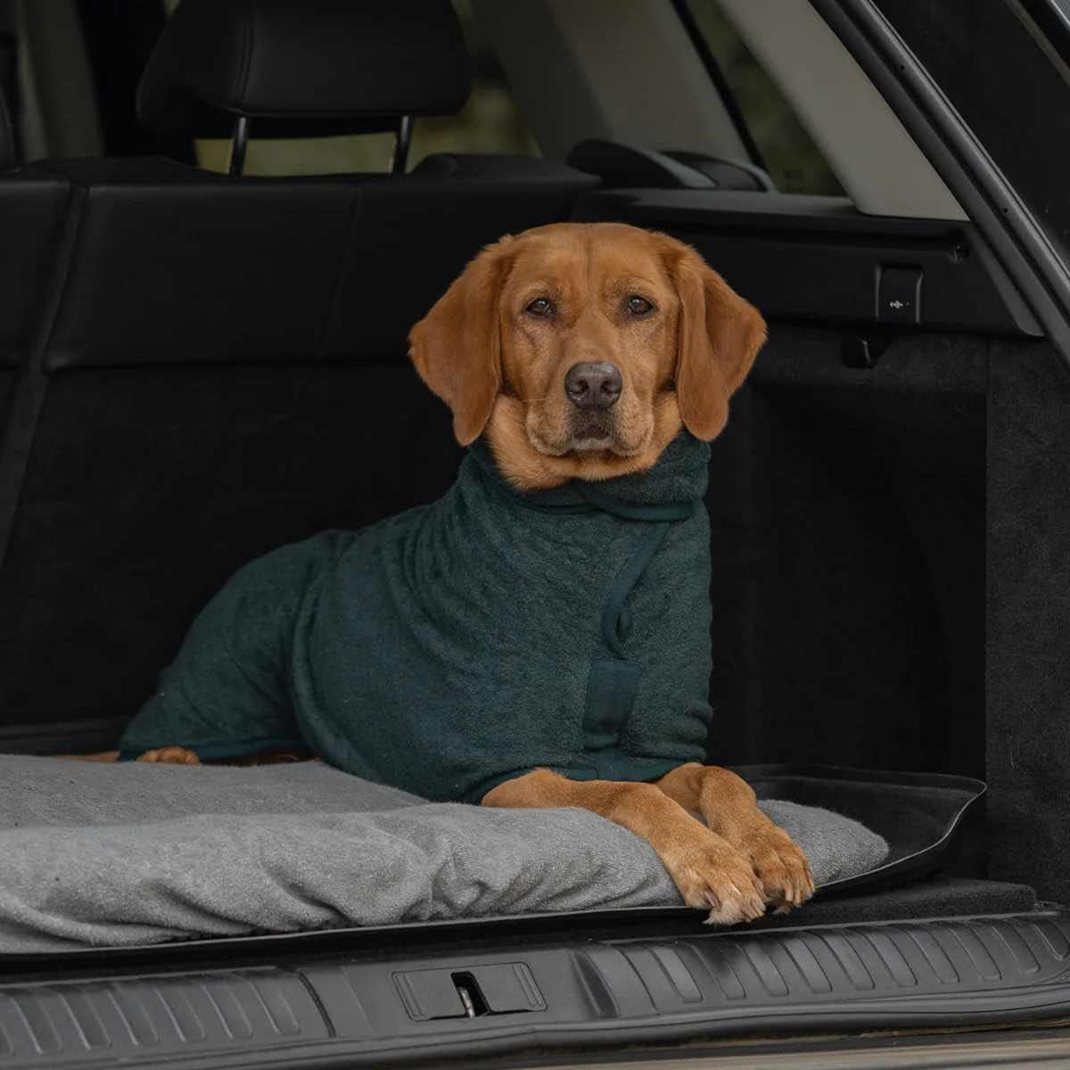 Ruff and Tumble Dog Drying Coat Classic Collection FastDrying Dog