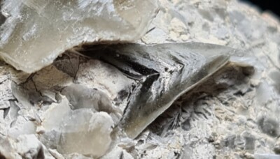  58g außergewöhnliche Gips Top Mineral Baza, Granada, Spanien 