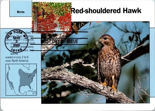 Dr Jim Stamps Maximum Card Red Shouldered Hawk 37C Fdc