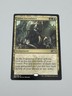 Sultai Ascendancy Foil Fate Reforged Clash Pack Promo MTG Magic The Gathering NM