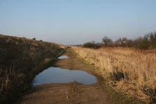 Photo 6x4 Track along Brightlingsea Marsh The high wall to the left ensur c2009