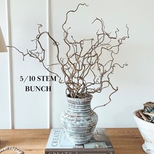Top Table Twisted Hazel Corylus Branches, Contorted Hazel Curly Branch Decor