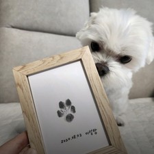Pet Paw Print Kit No Ink Safe Keepsake Frame Home for Dog Cat