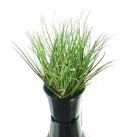 Gasper Gras GrüN S Im Schwarzen Topf Ø 8 Cm - Kunstpflanzen