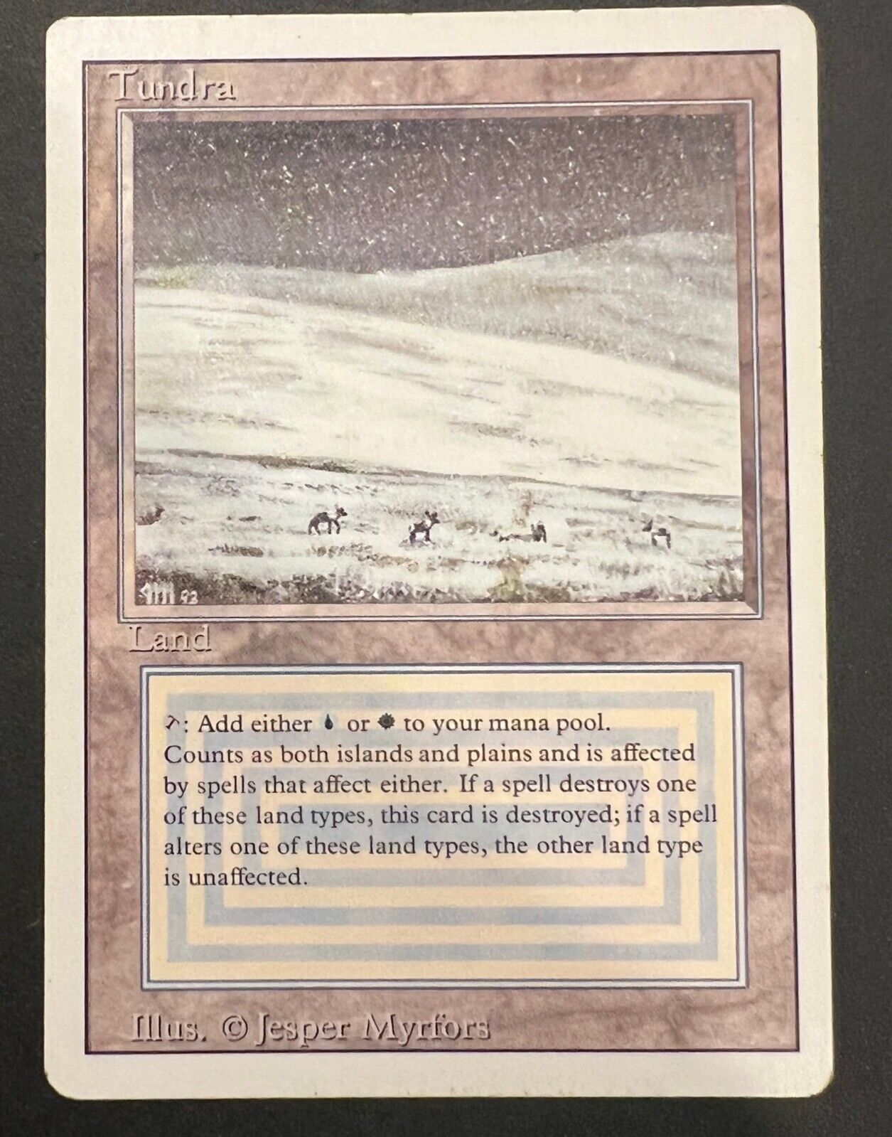 MTG Tundra デュエルランド-