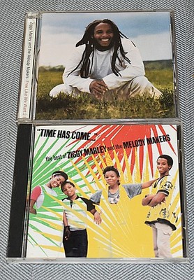 Ziggy Marley,Free like we want 2 B,Time has Come, cd