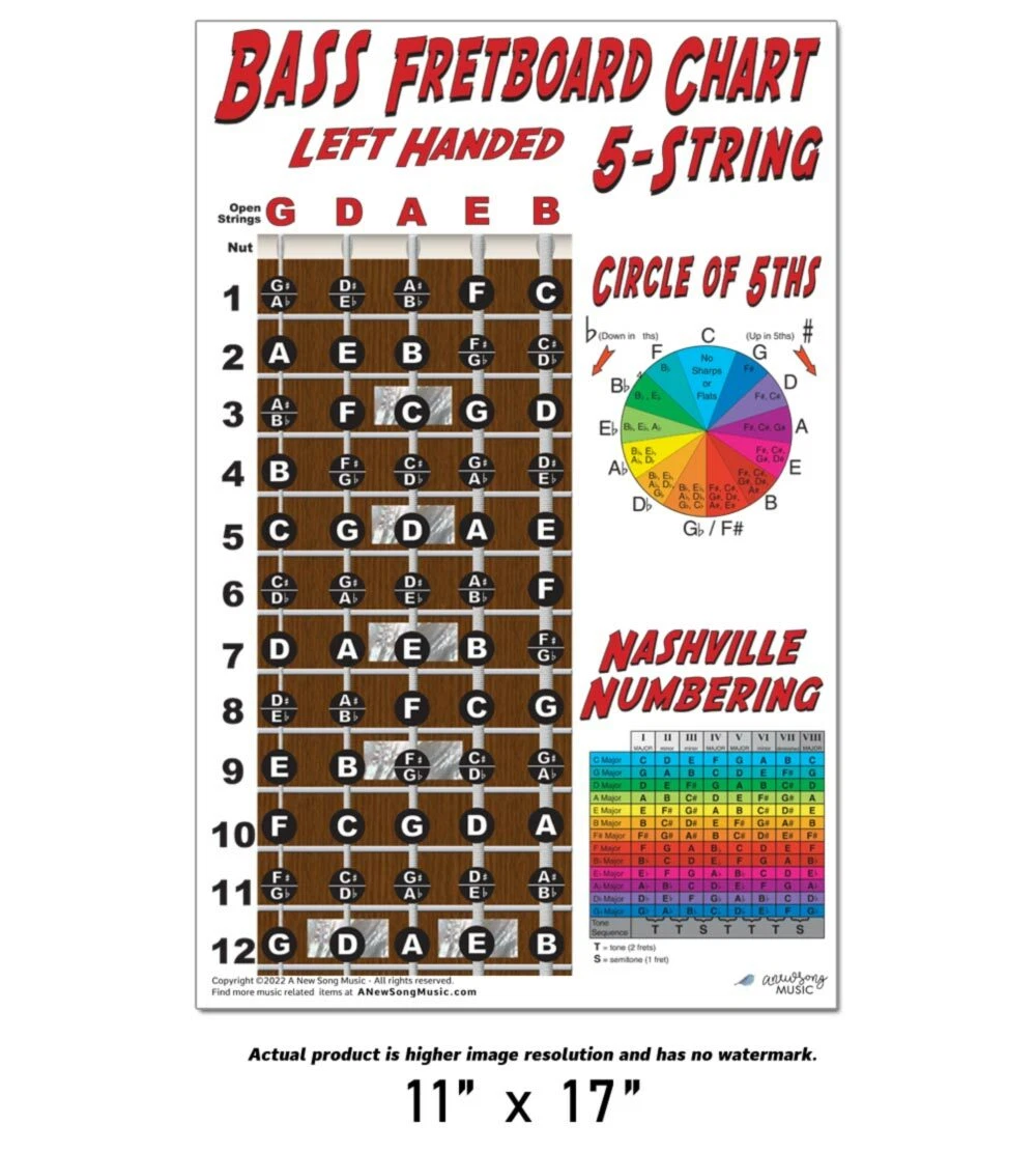 5 String Bass Guitar Notes