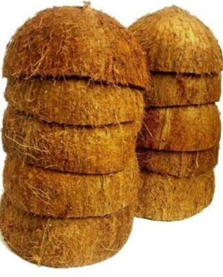 COCONUT SHELL HALVES Eco Friendly 100% Natural Unpolished coconut Shell 5 Pieces