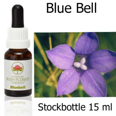 BLUEBELL Australian Bush Flower Essences Australische Buschblüten