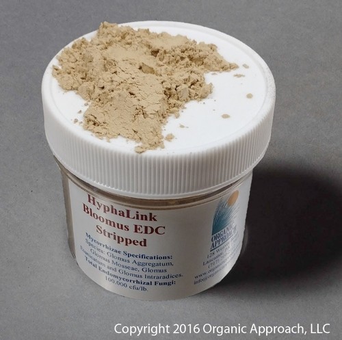 Bloomus Endo Mychorrhizae Inoculant, Explosive Root Growth, Protection ...