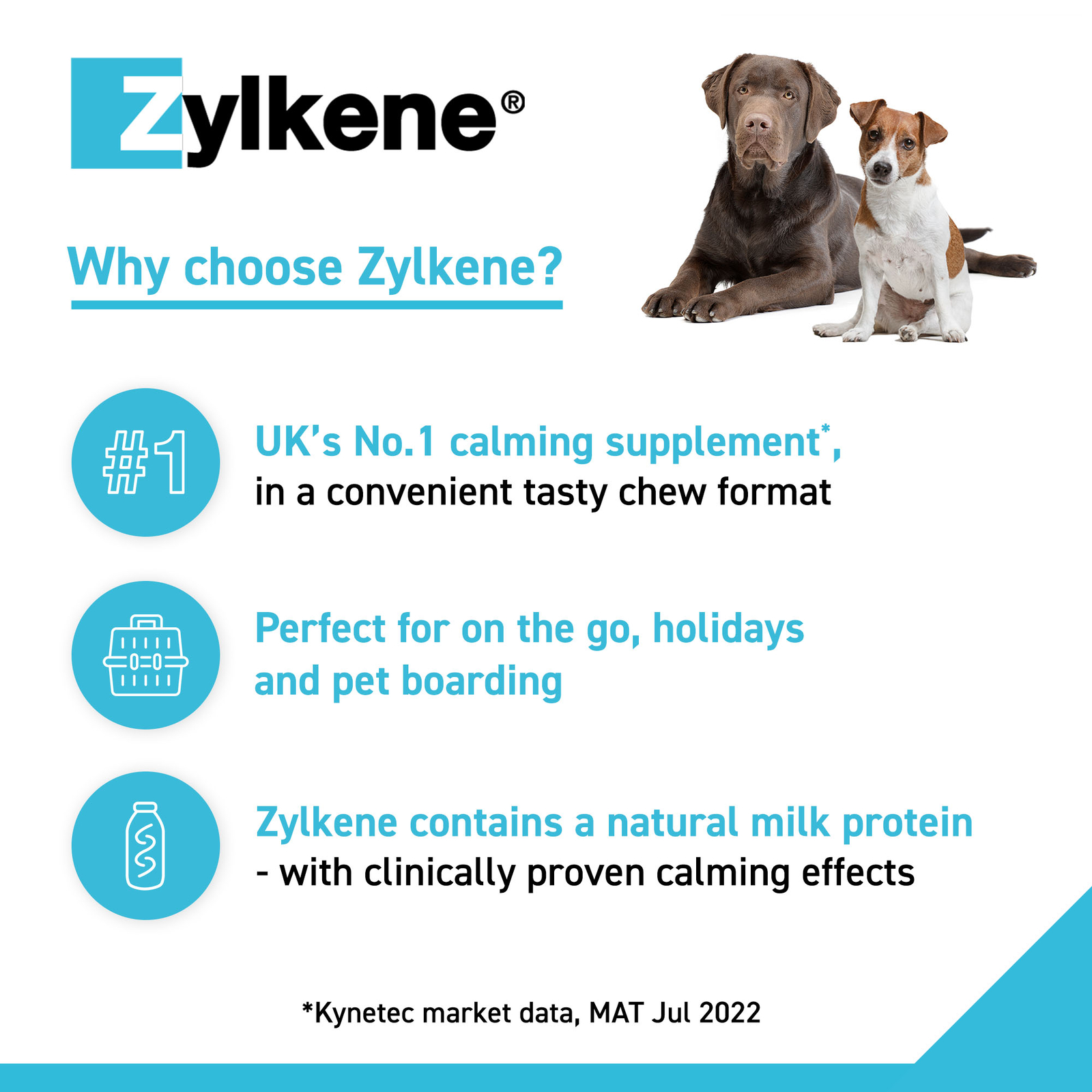 Zylkene Calming Dog Chews Anxiety Stress Relief Supplement All Sizes
