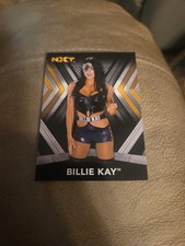 BILLIE KAY 2017 Topps WWE NXT Roster Insert #8 Pro Wrestling Trading Card