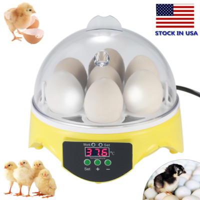 7 Eggs Mini Digital Egg Incubator Hatcher Hatching Automatic Temperature Control