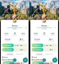 Eevee wearing an explorer hat Mexico Safari - TRADE 20k - Read Description