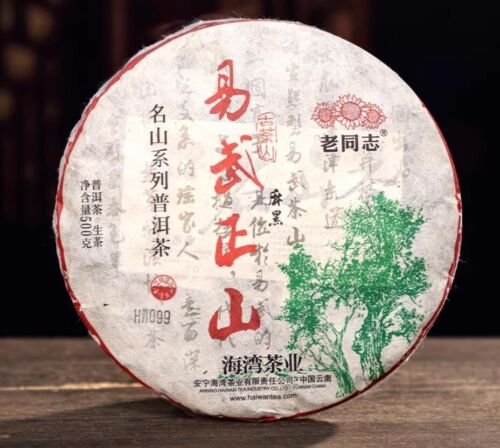2023 Haiwan lao tong zhi YiWu zheng Puer Tea Ma Hei RAW Old Tree Pu´erh tee500g