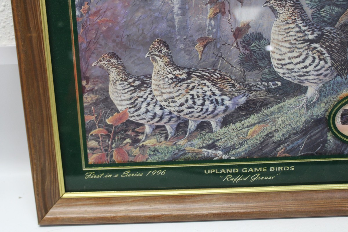 アノラスペンス ポスター　two blue birds(1996) アノラスペンス ポスター two blue birds(1996)