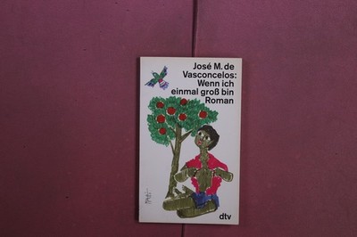 414789 José Mauro de Vasconcelos WENN ICH EINMAL GROSS BIN Deutscher Taschenbuch